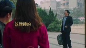 国产理论片免费观看视频,探索思想盛宴的便捷之门