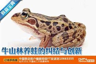 国产小青蛙视频是真的吗,揭秘真实与虚构的界限