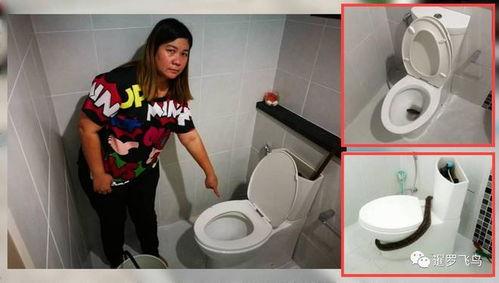 国产厕所大白屁股视频,揭秘厕所文化背后的社会现象